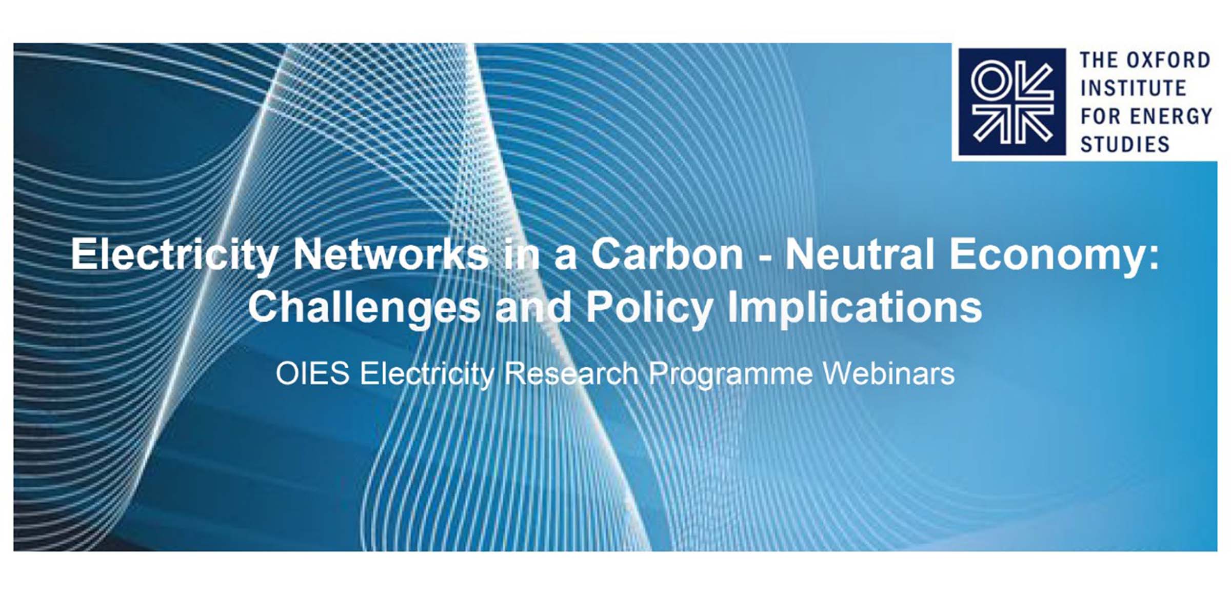 Discussing on electricity networks&#8217; role in a carbon-neutral economy